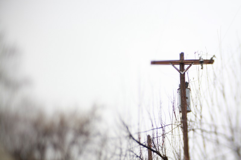 Finding the beauty in grey